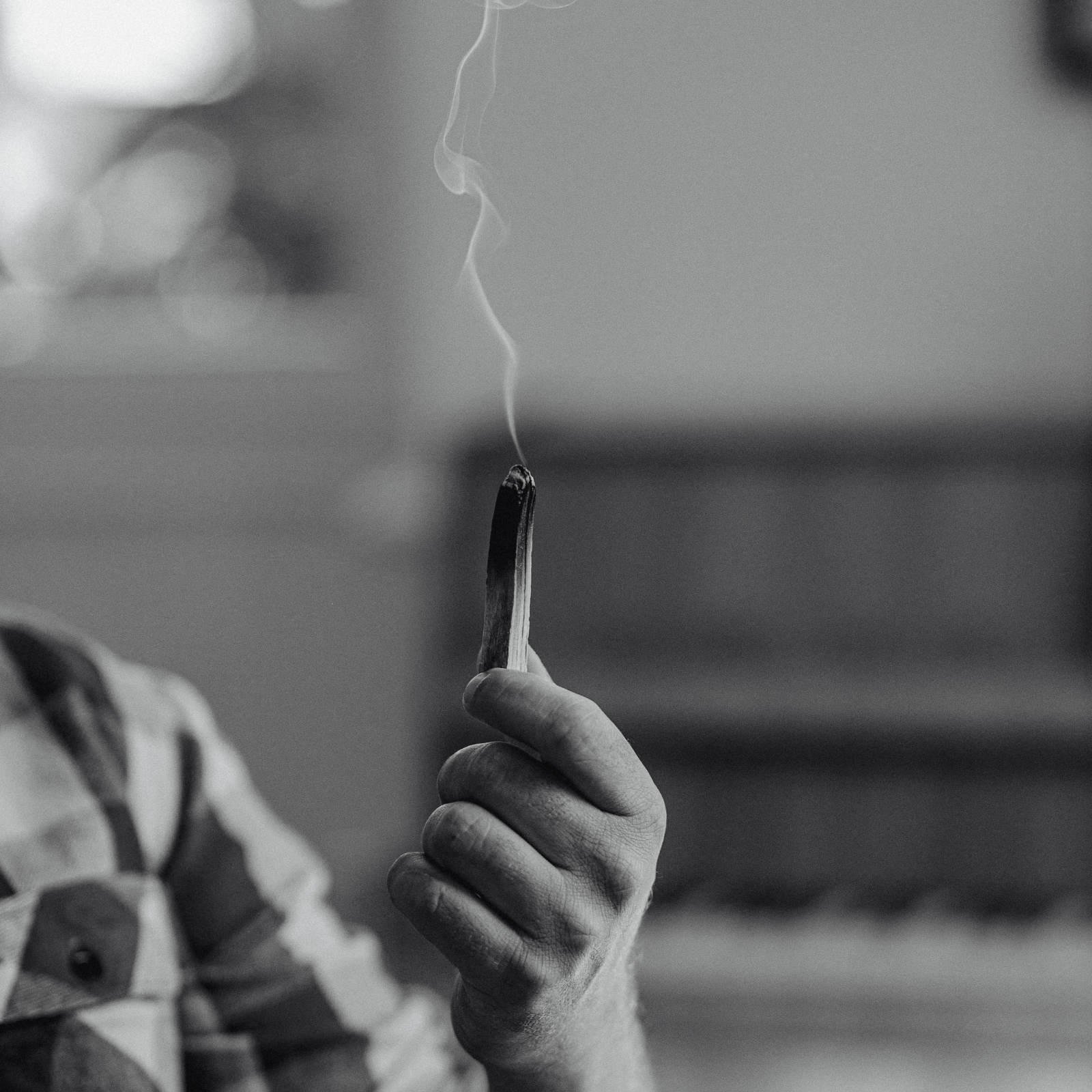 Palo Santo "Holy Wood"