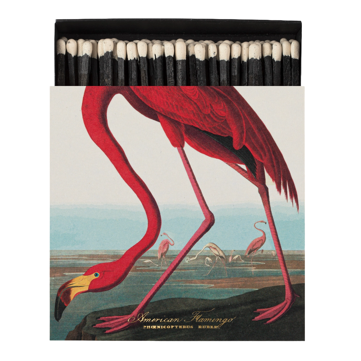 Safety Matches -  American Flamingo
